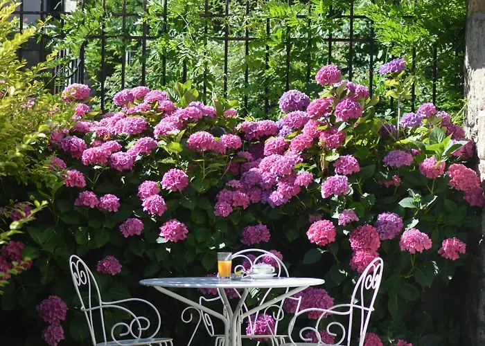 Des Voyageurs Maison d'hôtes Cassagnes-Bégonhès
