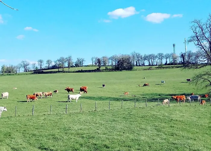 Des Voyageurs Maison d'hôtes Cassagnes-Bégonhès